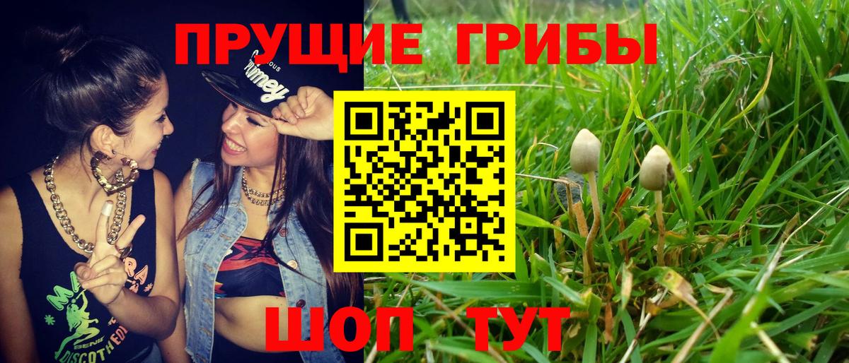 Галлюциногенные грибы GOLDEN TEACHER Канск